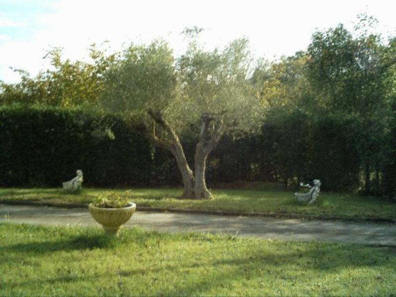 Hotel Camping Ribadesella Bagian luar foto